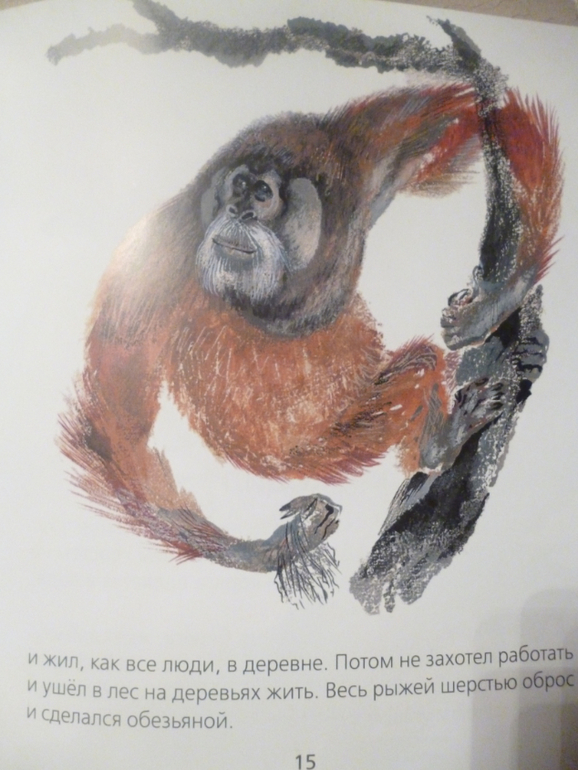 Чарушинские зверята (подробные фото и отзыв)