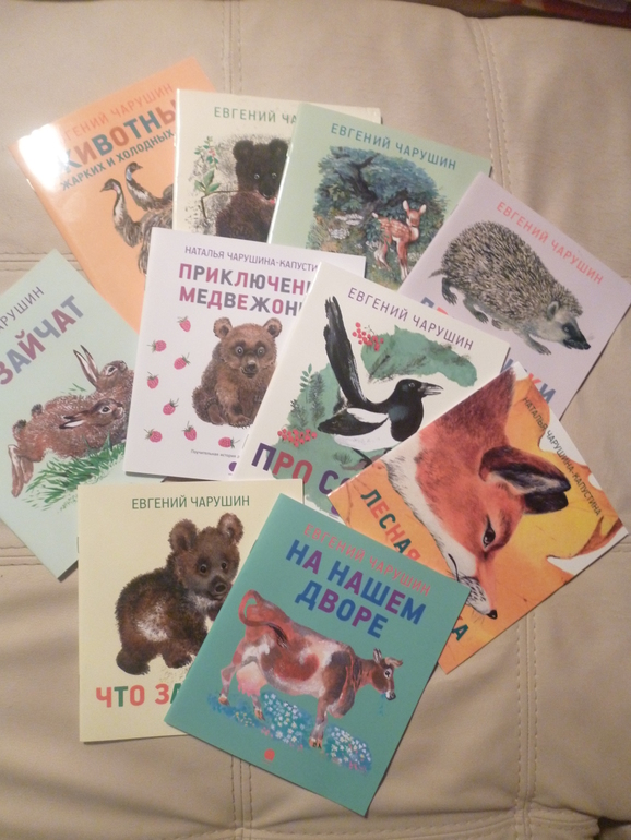 Чарушинские зверята (подробные фото и отзыв)