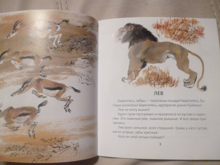 Чарушинские зверята (подробные фото и отзыв)