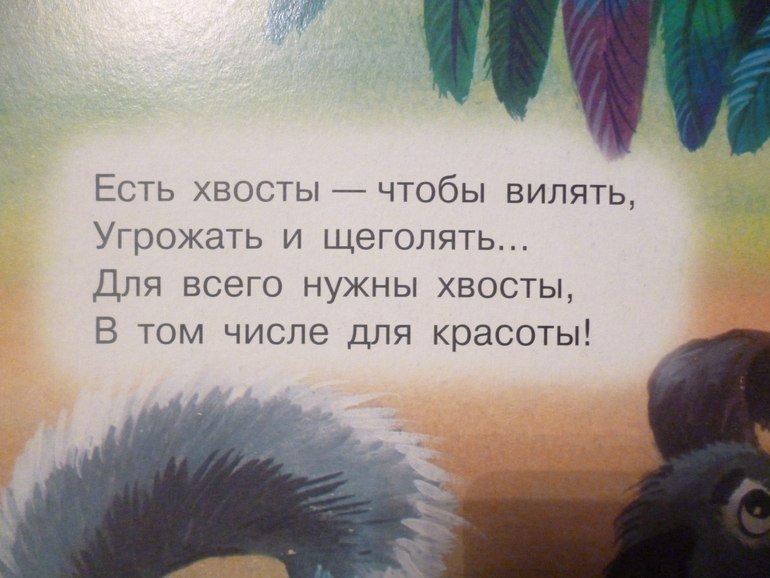 Картонные книжки для малышей