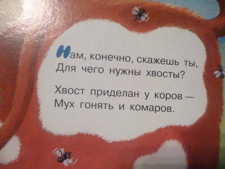 Картонные книжки для малышей