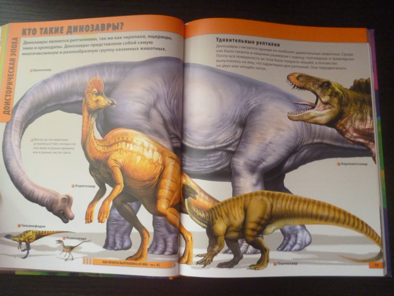 Энциклопедии про животных