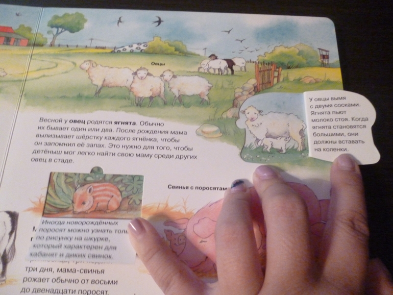 Энциклопедии про животных