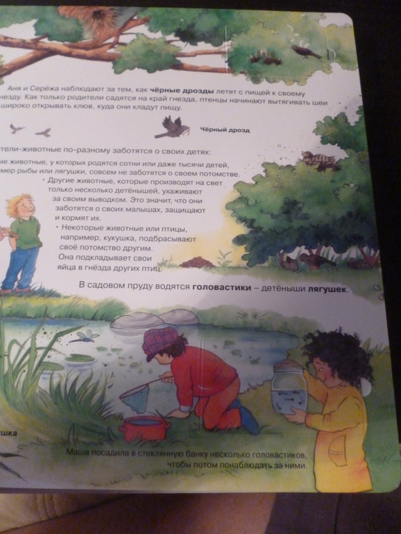 Энциклопедии про животных