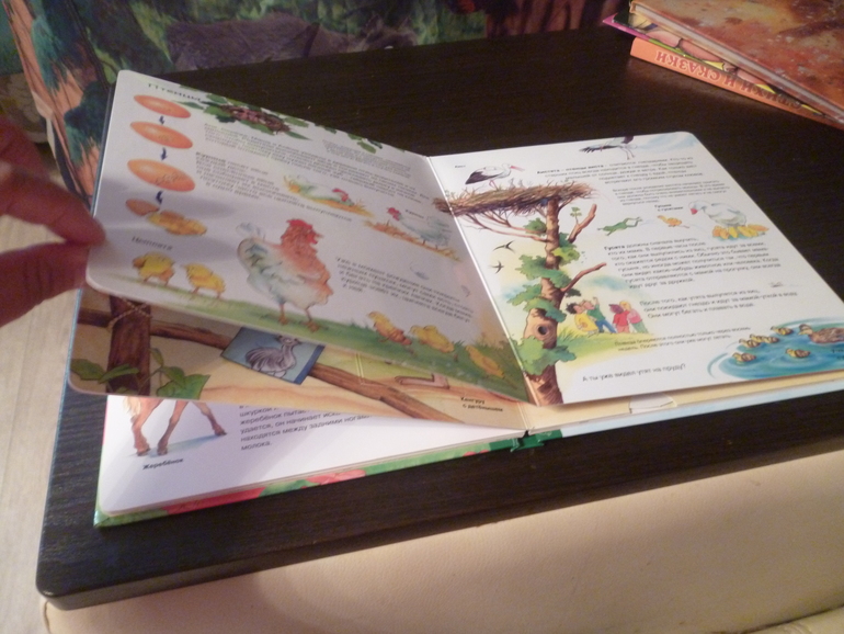 Энциклопедии про животных