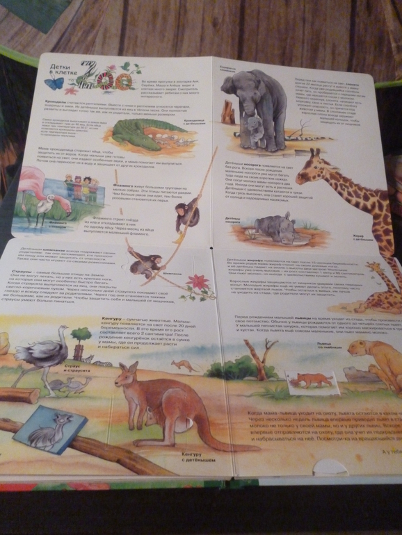 Энциклопедии про животных