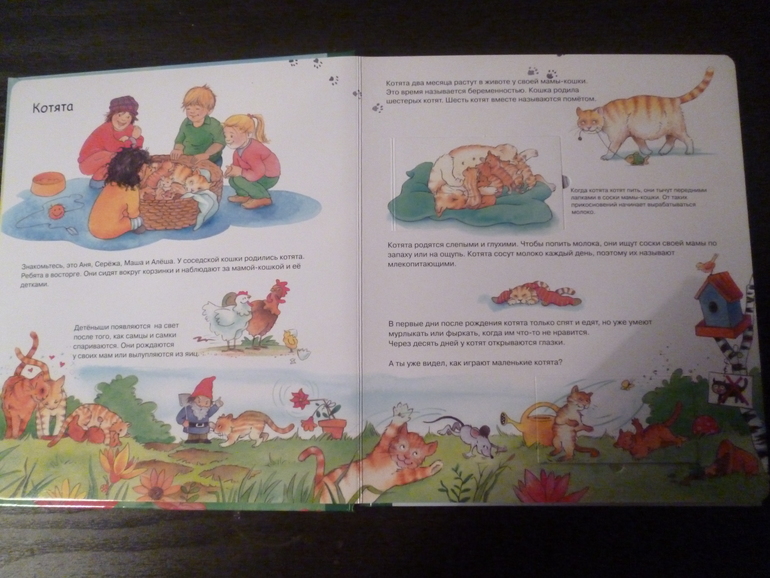 Энциклопедии про животных