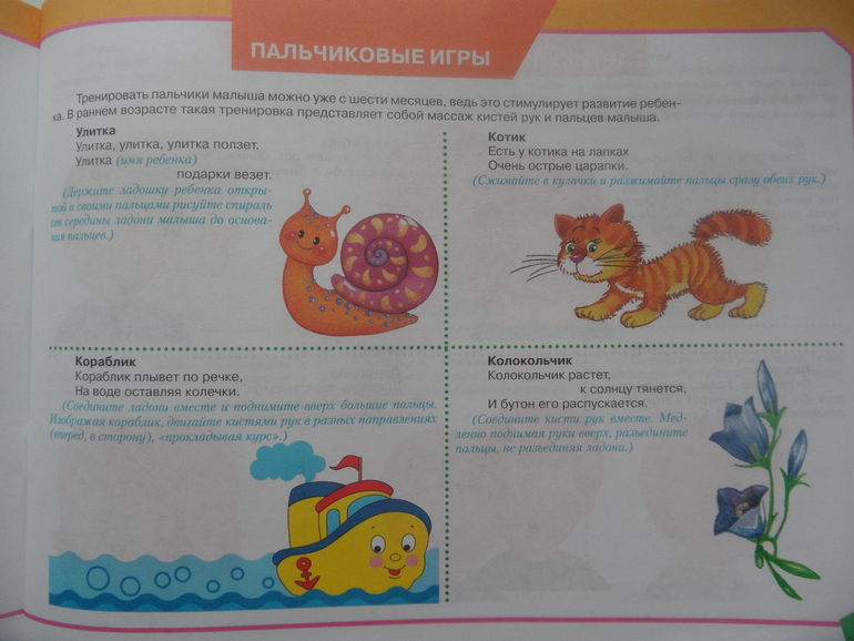 d06d806c794d54d0623955b5b3d5410d.jpg