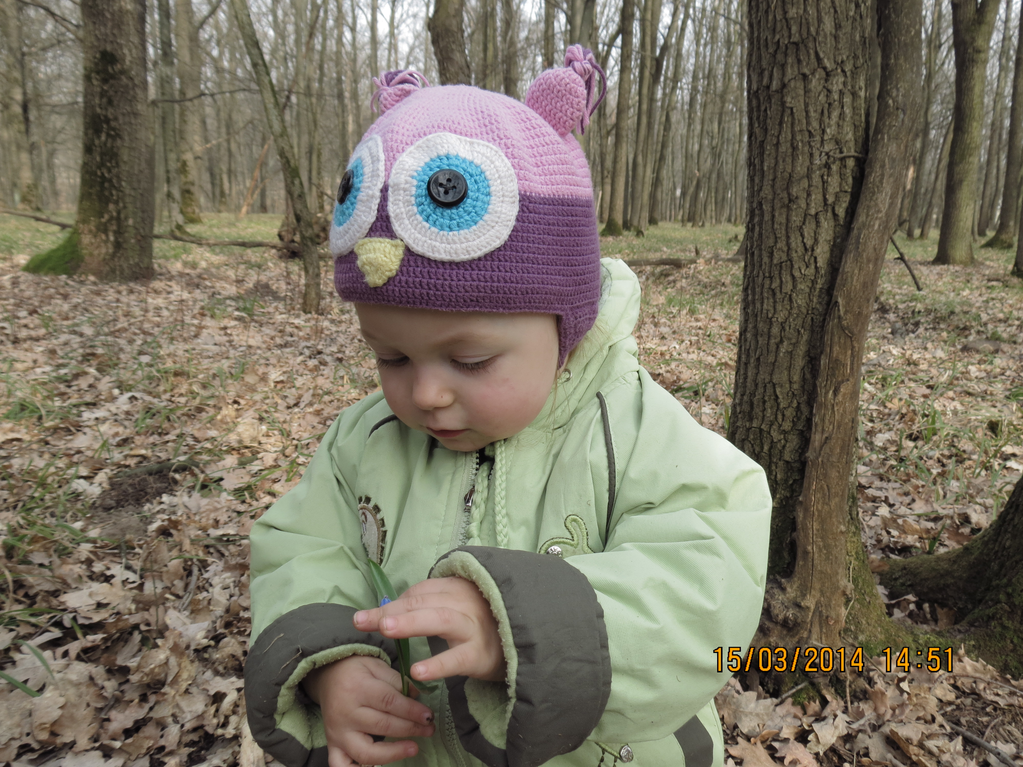 Наша совошапка.