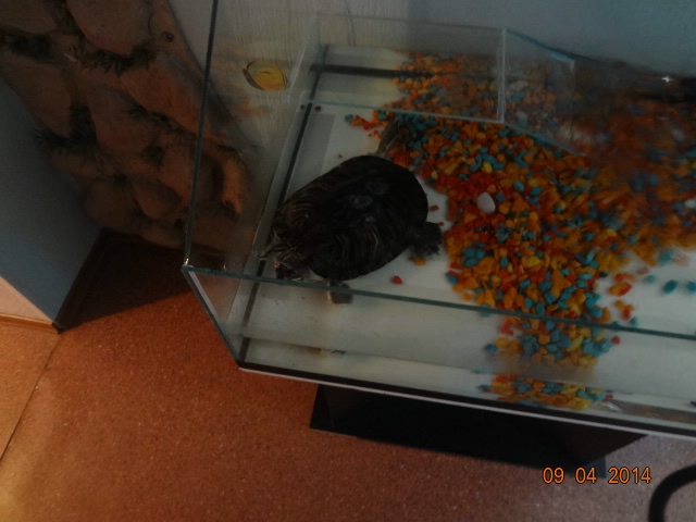 Наш любимый детский сад 1808.