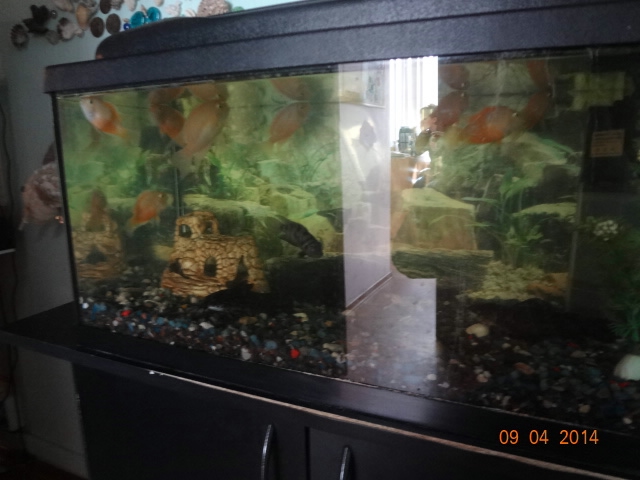 Наш любимый детский сад 1808.