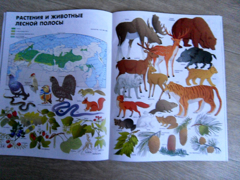 Урок географии