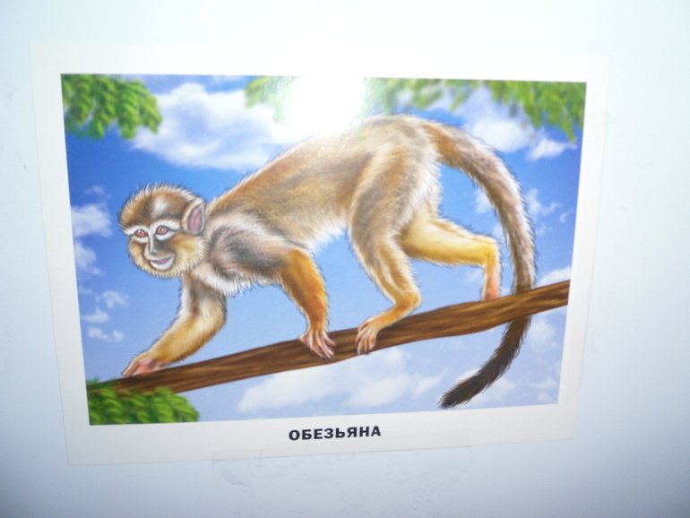 Оладьи с обезьянами