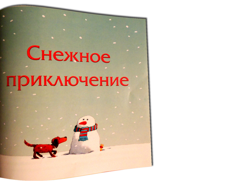 Книжно-зимний отчет или Дед Мороз vs Санта Клаус