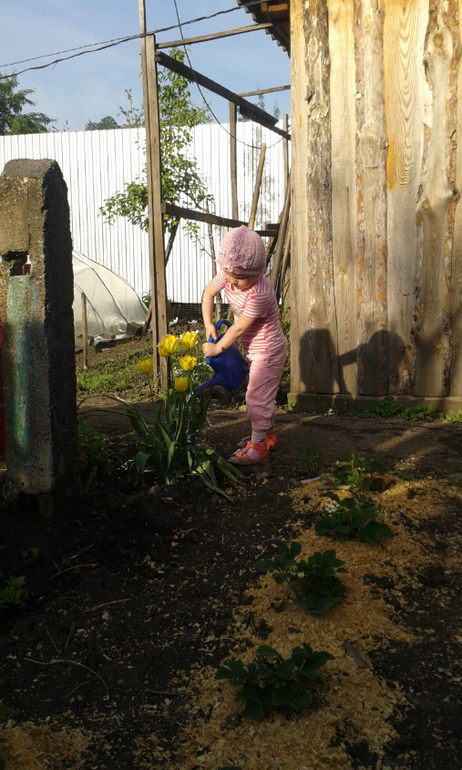 Занималки.Лето