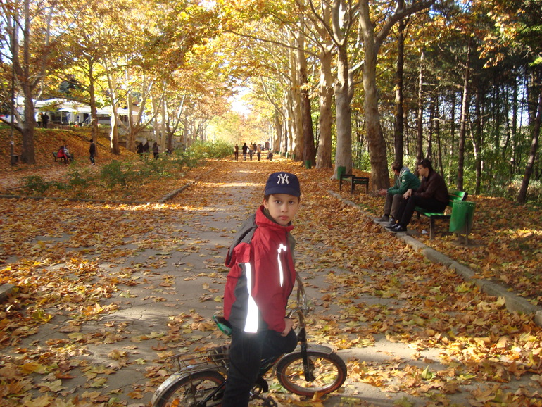 cddc06be2da578dfc0d7386805b19773.jpg