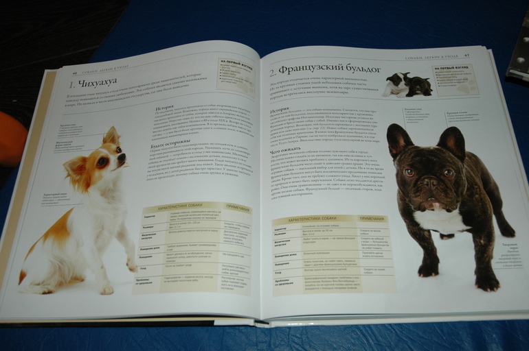 Апрельские новобранцы