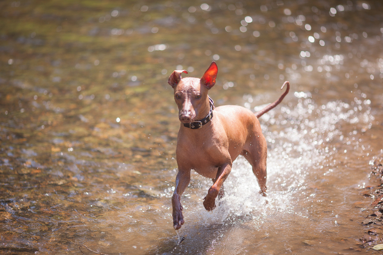 Вот так весело на речке!