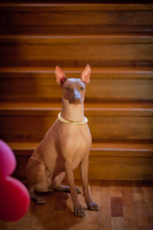 Фарра и Гемма