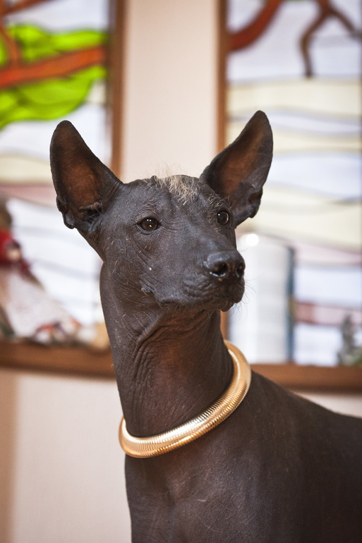 Портретик моего любимого мексиканца))