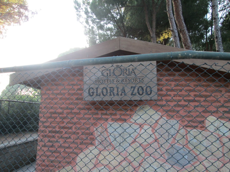 Турция. Отель Gloria Verde