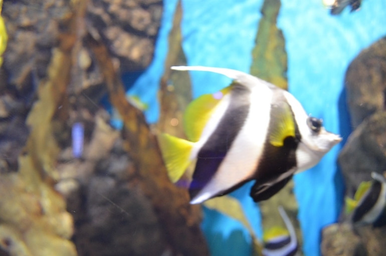 Санкт-Петербург, 7 - 14 июня 2014 год