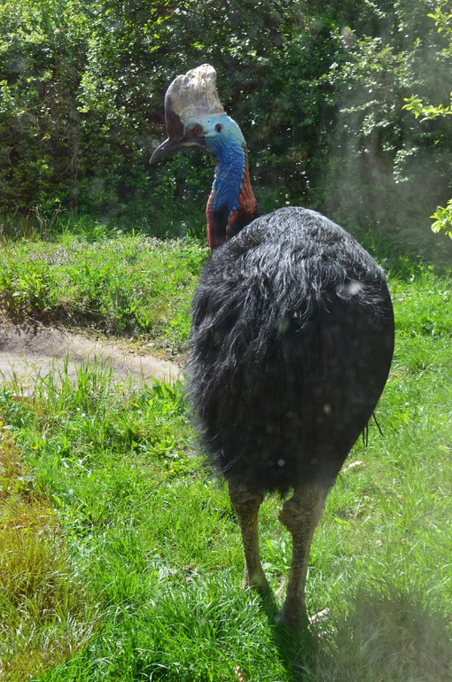 Прага 12-19 апреля 2014 год