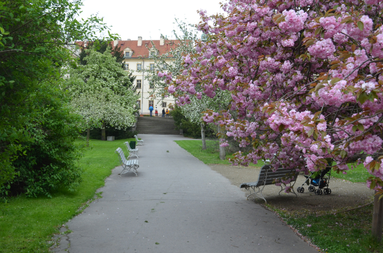 Прага 12-19 апреля 2014 год