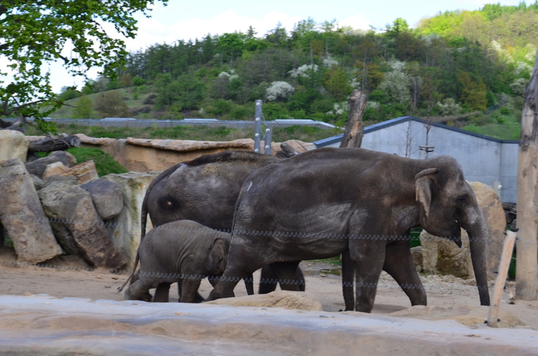 Прага 12-19 апреля 2014 год