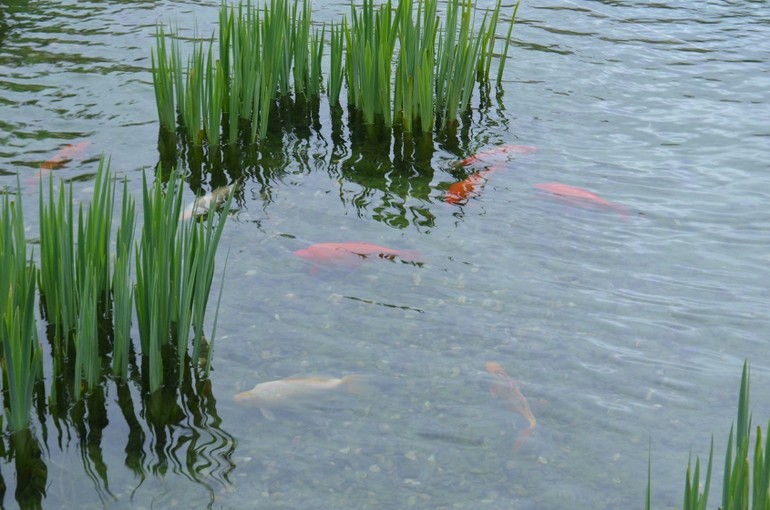 Прага 12-19 апреля 2014 год