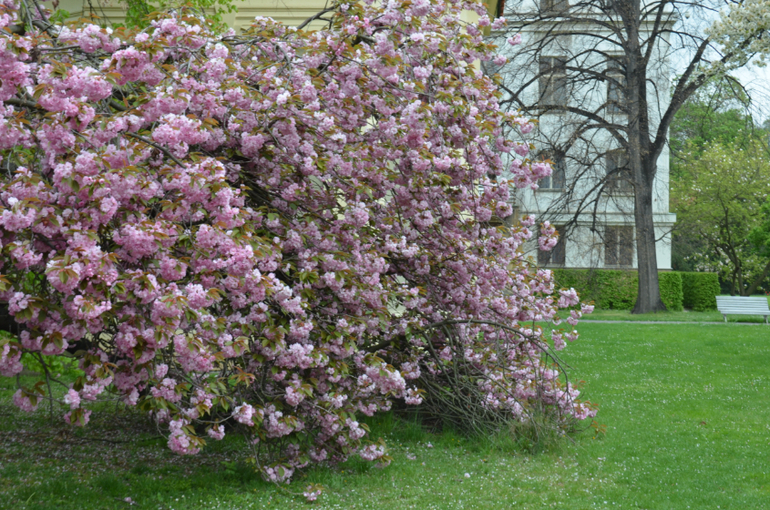 Прага 12-19 апреля 2014 год