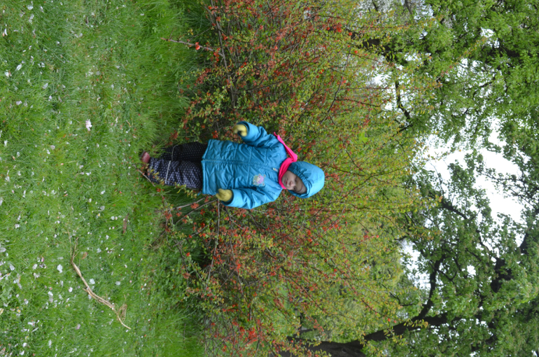 Прага 12-19 апреля 2014 год