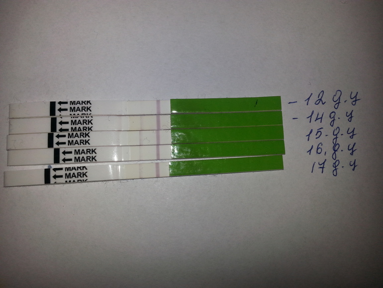 тесты на овуляцию