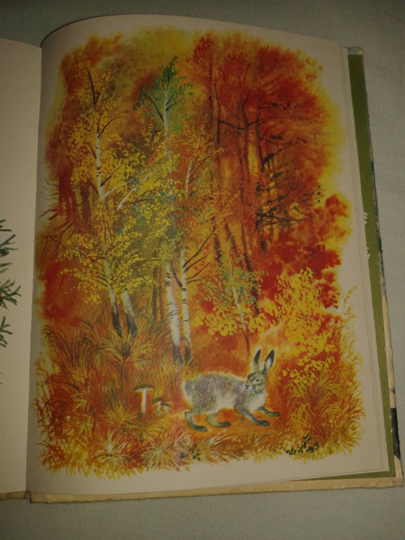 Галина Новицкая