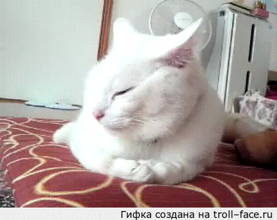285df4ebb4615f90ee49663cf84f1210.gif