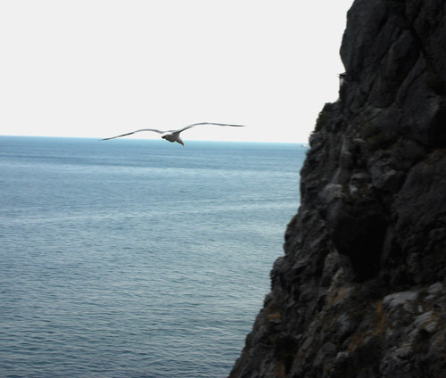 Крымское чудо или таинственные знаки