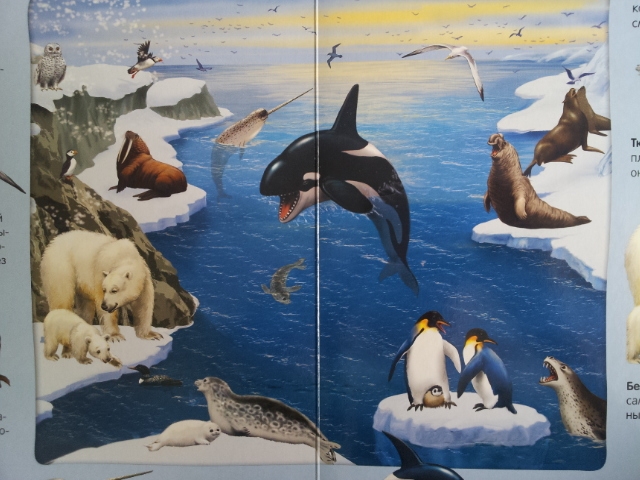 100 волшебных звуков или