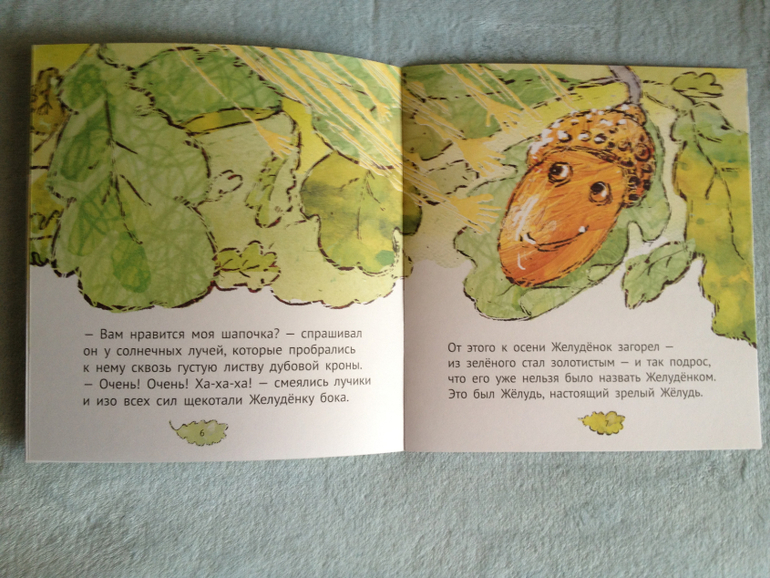 Наши книжные обновки