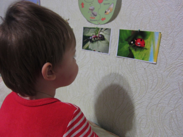 ТН НАСЕКОМЫЕ День 4