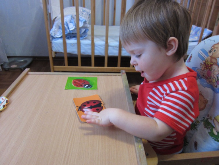 ТН НАСЕКОМЫЕ День 4