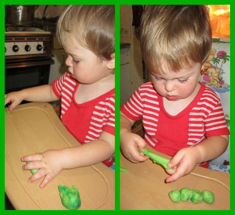 ТН НАСЕКОМЫЕ День 1