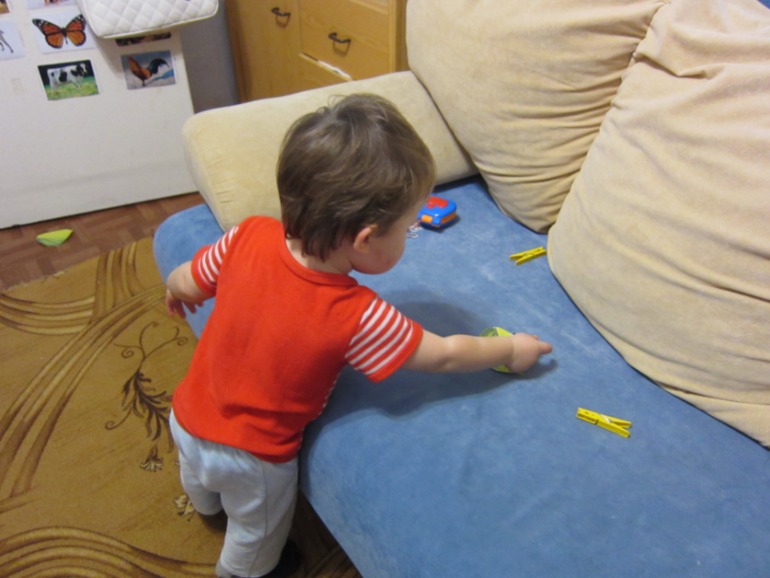 ТН НАСЕКОМЫЕ День 4