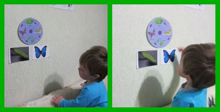 ТН НАСЕКОМЫЕ День 1