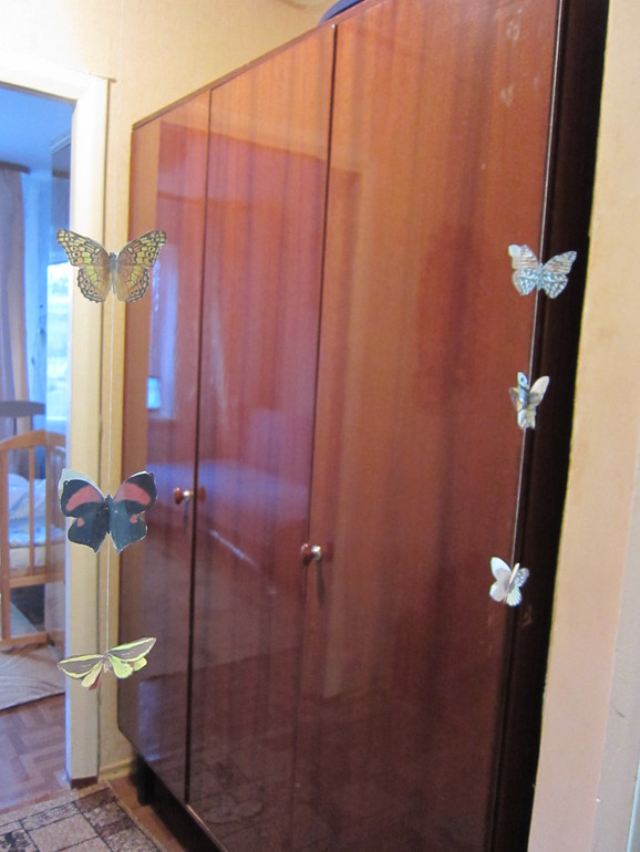 ТН НАСЕКОМЫЕ День 1