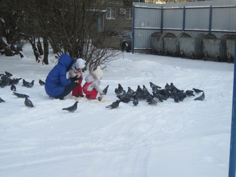ТН Встречавем зиму. День второй. Зимующие птицы