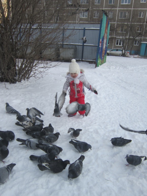 ТН Встречавем зиму. День второй. Зимующие птицы