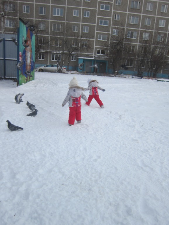 ТН Встречавем зиму. День второй. Зимующие птицы