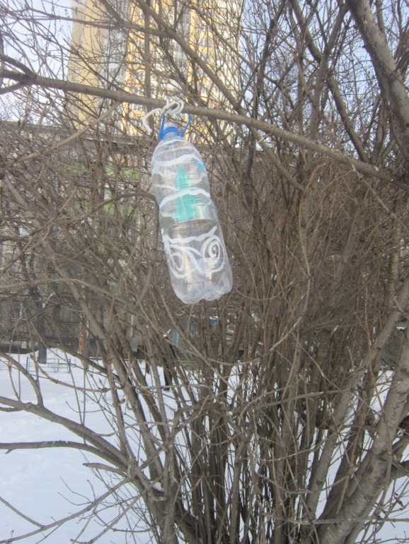 ТН Встречавем зиму. День второй. Зимующие птицы