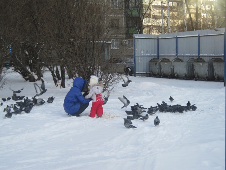 ТН Встречавем зиму. День второй. Зимующие птицы