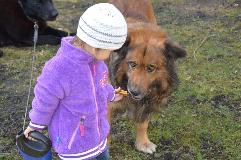 Собака-друг ребенка)